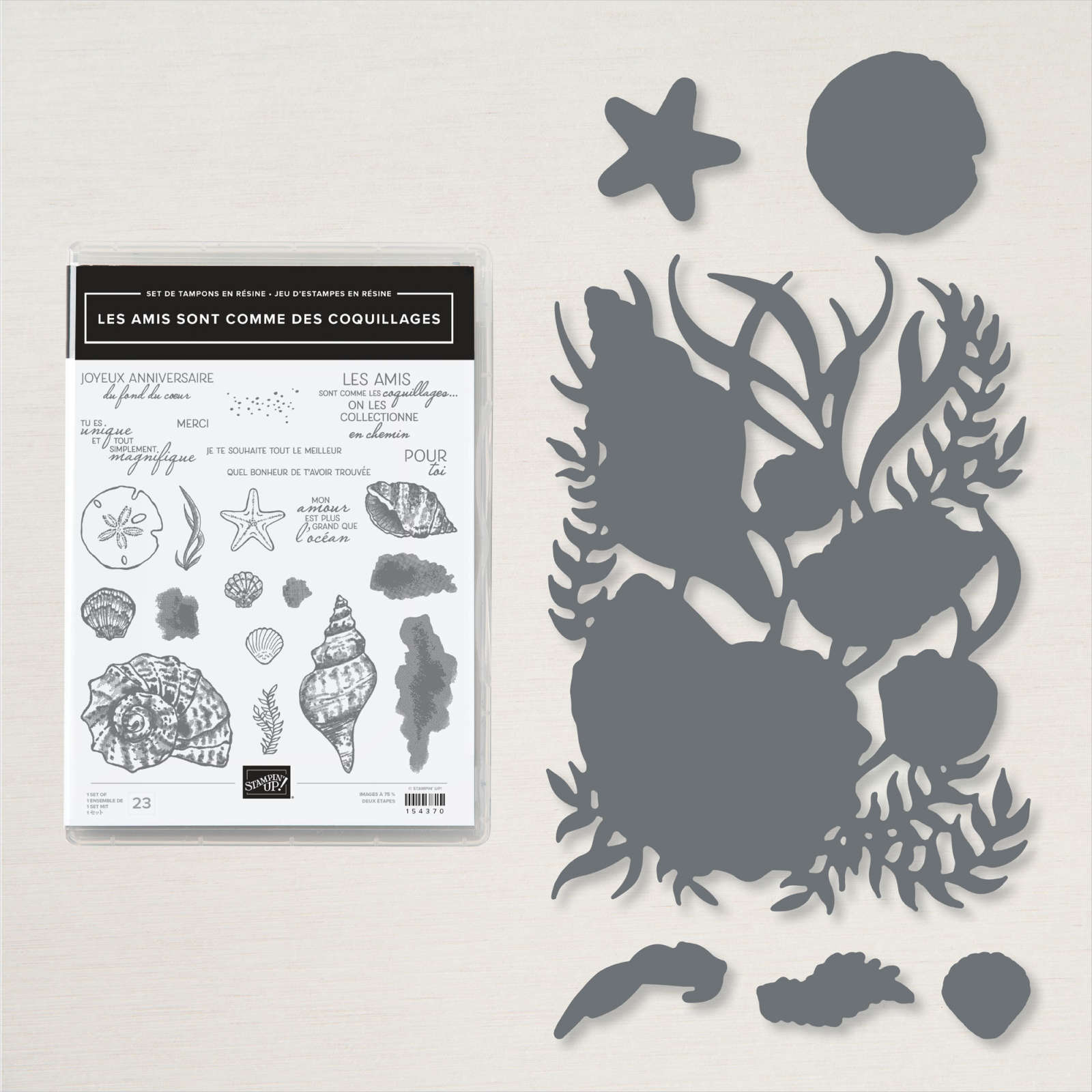 Stampin Up Les Amis Sont Comme Des Coquillages Bundle French Stampin Up Les Amis Sont Comme Des Coquillages Bundle French
