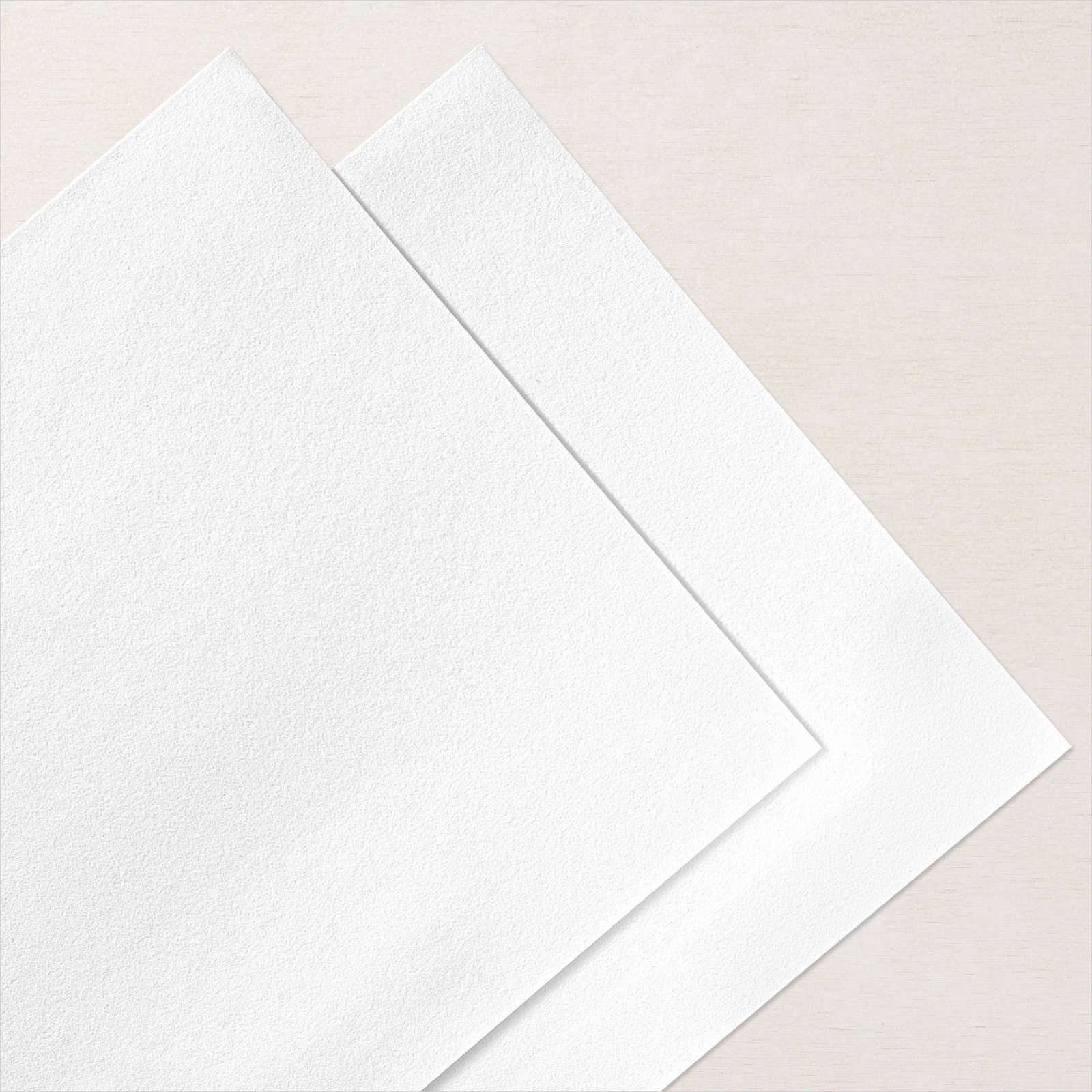 FEUILLES DE VELOURS 12" X 12" (30,5 X 30,5 CM) BLANC NEIGE