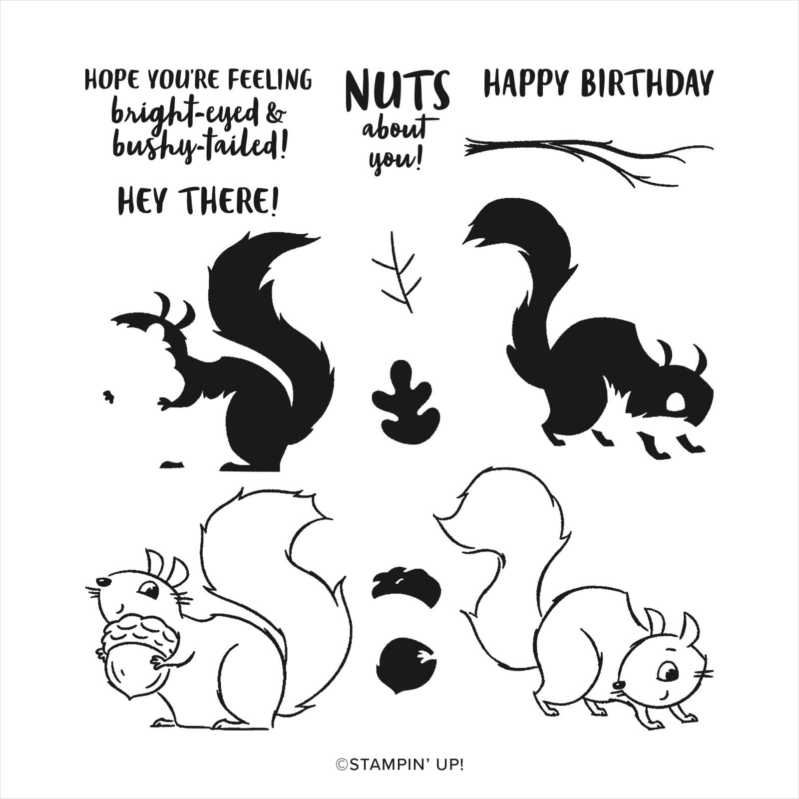 STEMPELSET KLARSICHT NUTS ABOUT SQUIRRELS (ENGLISCH)