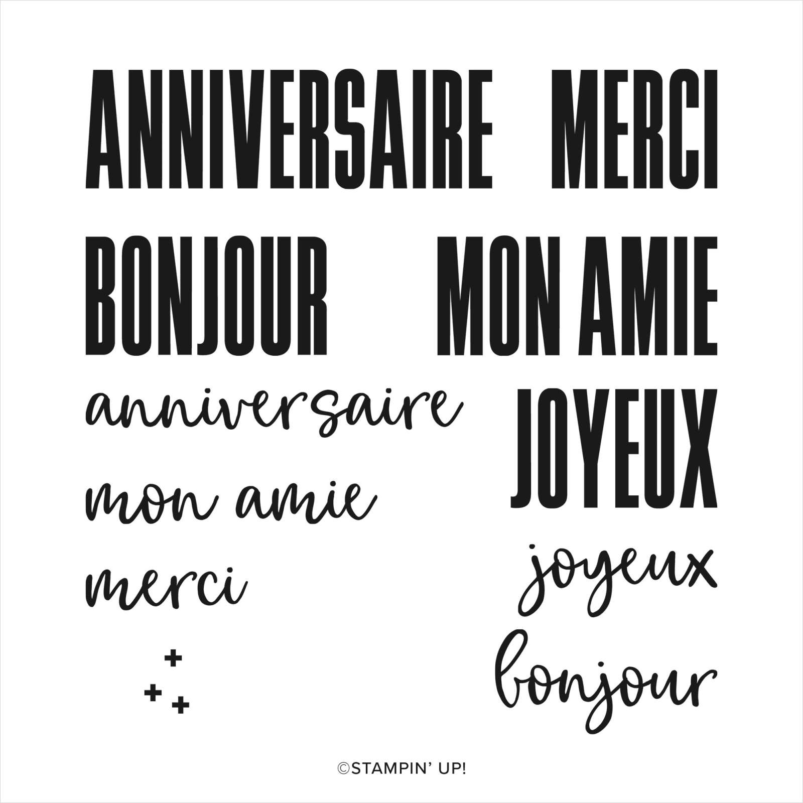 Stampin Up Souhaits En Grand Photopolymer Stamp Set French