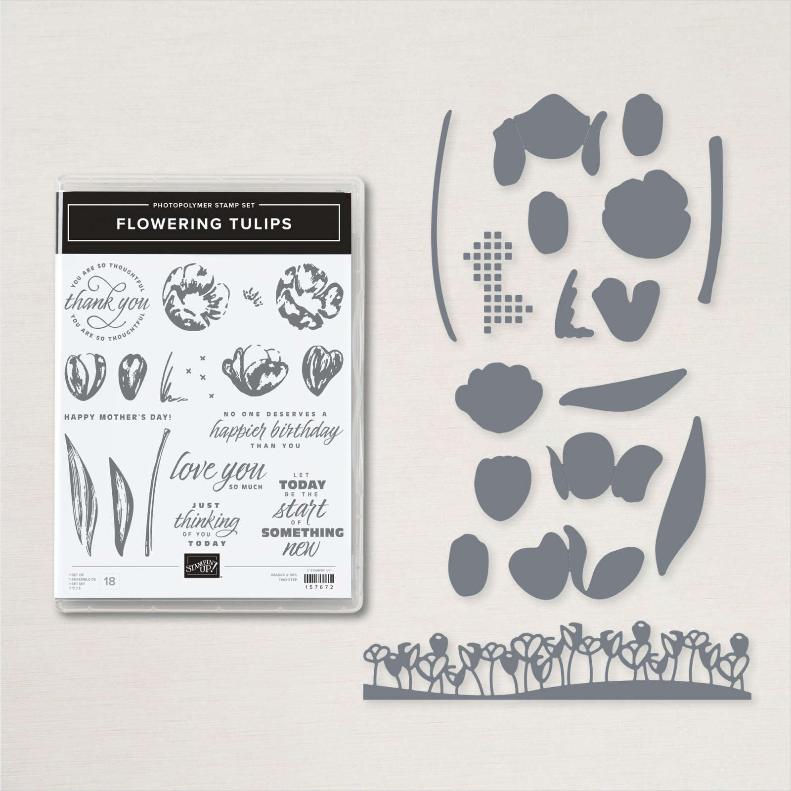 FLOWERING TULIPS BUNDLE (ENGLISH)