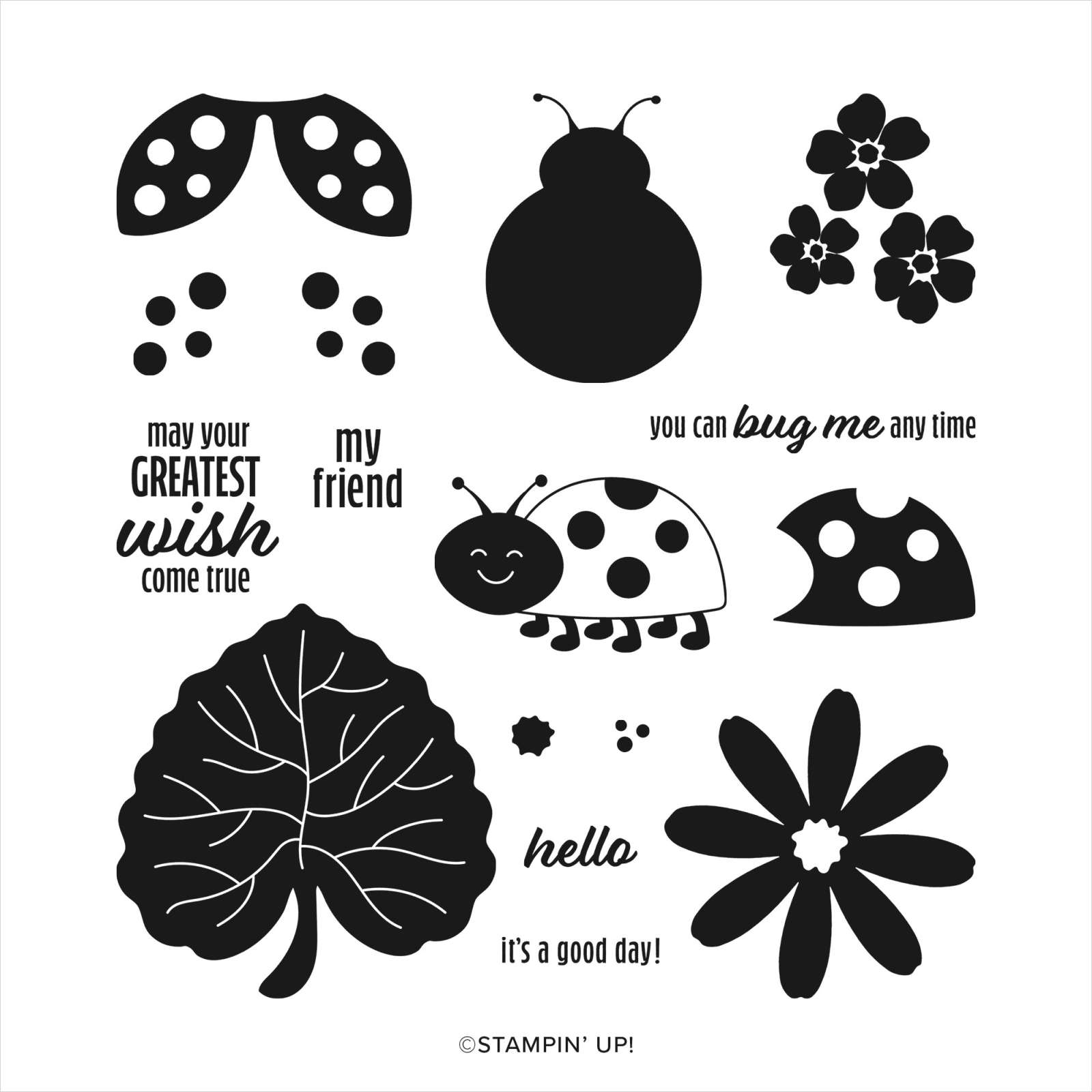 HELLO LADYBUG PHOTOPOLYMER STAMP SET (ENGLISH)