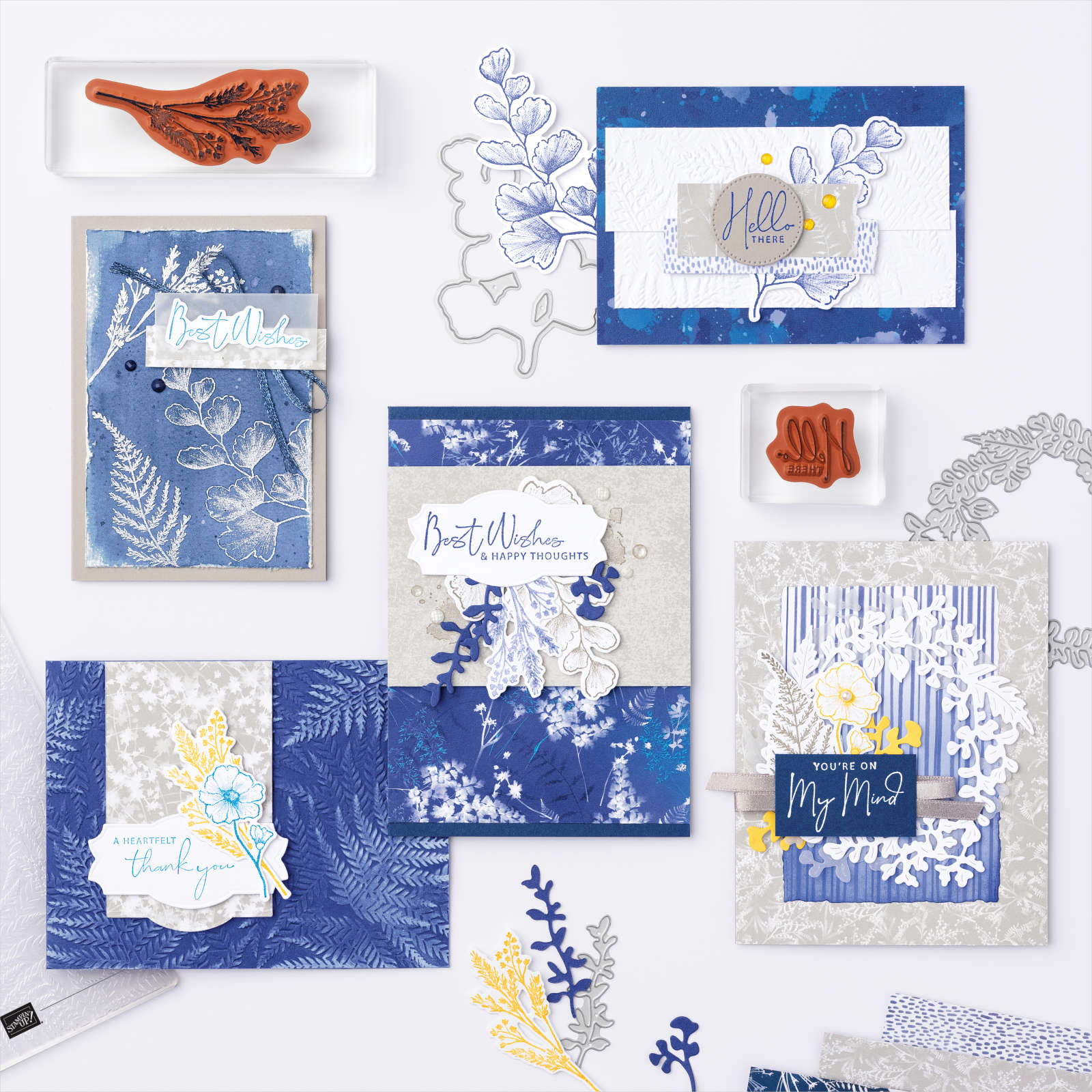 NATURE'S PRINTS BUNDLE (ENGLISH)