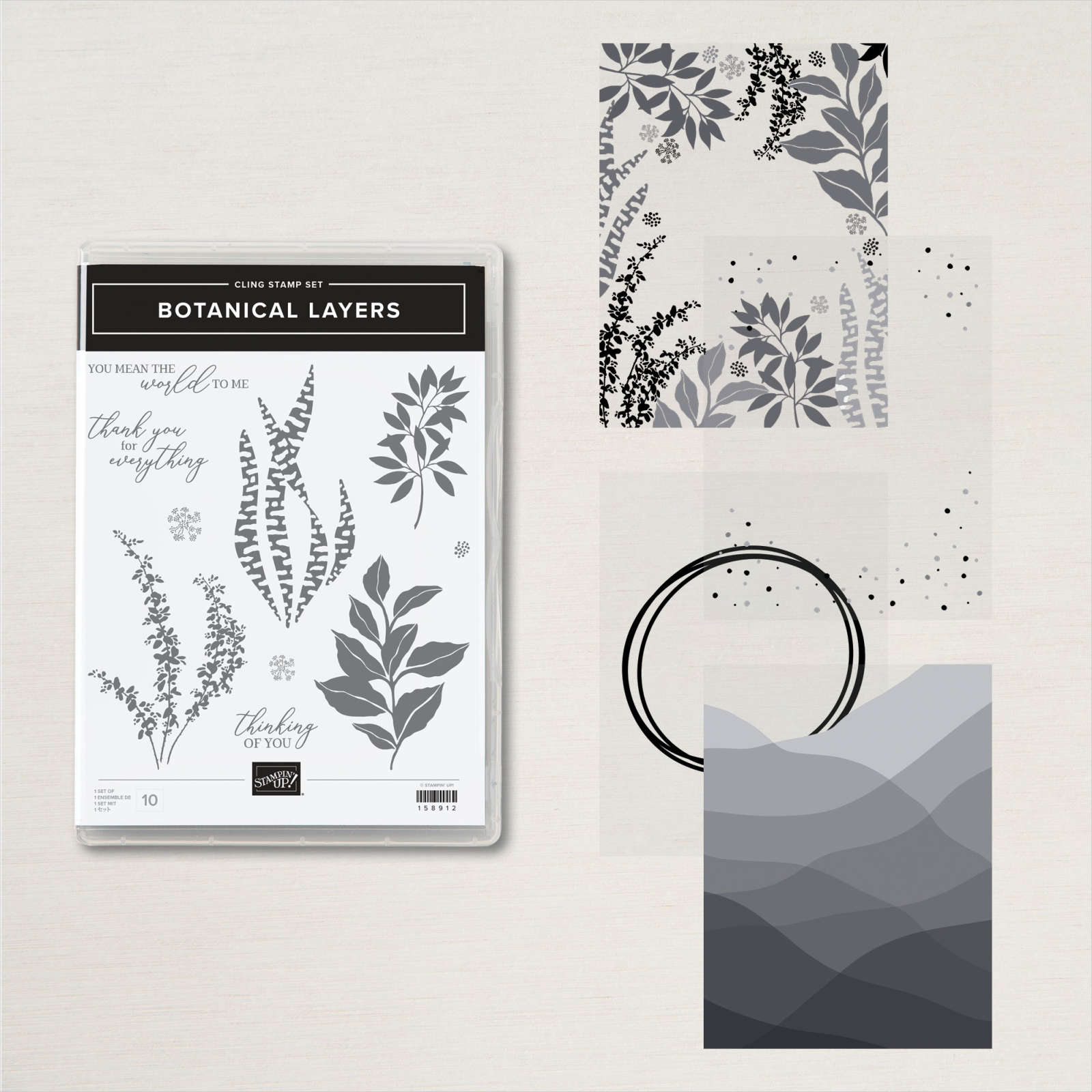 BOTANICAL LAYERS BUNDLE (ENGLISH)