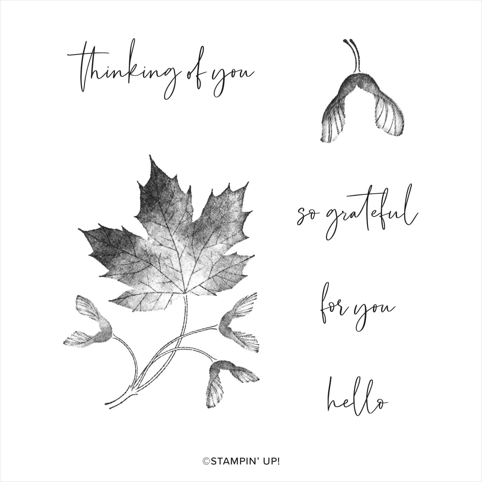 My Favorite Mini Catalog Stamp Set