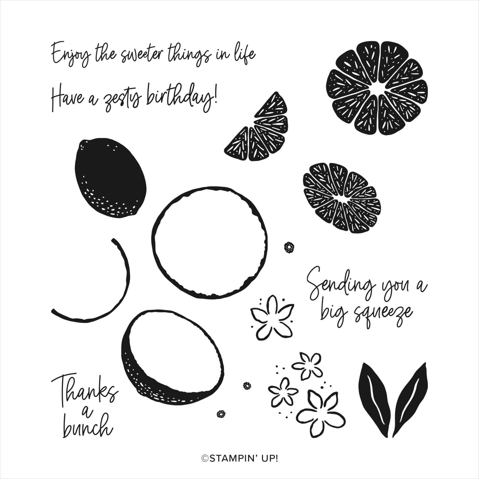 SWEET CITRUS PHOTOPOLYMER STAMP SET (ENGLISH)
