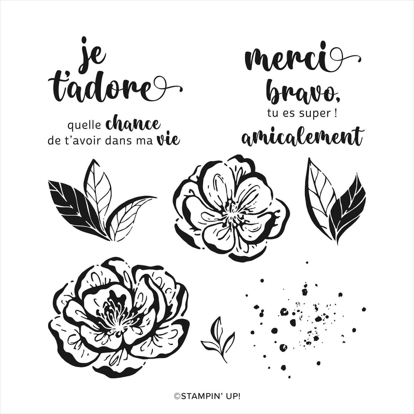 SET DE TAMPONS AMOVIBLES FLEURS IRRÉSISTIBLES (FRANÇAIS)