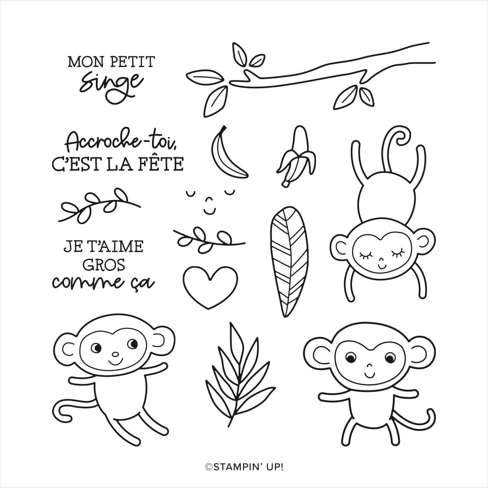 SET DE TAMPONS EN RÉSINE MON PETIT SINGE (FRANÇAIS)