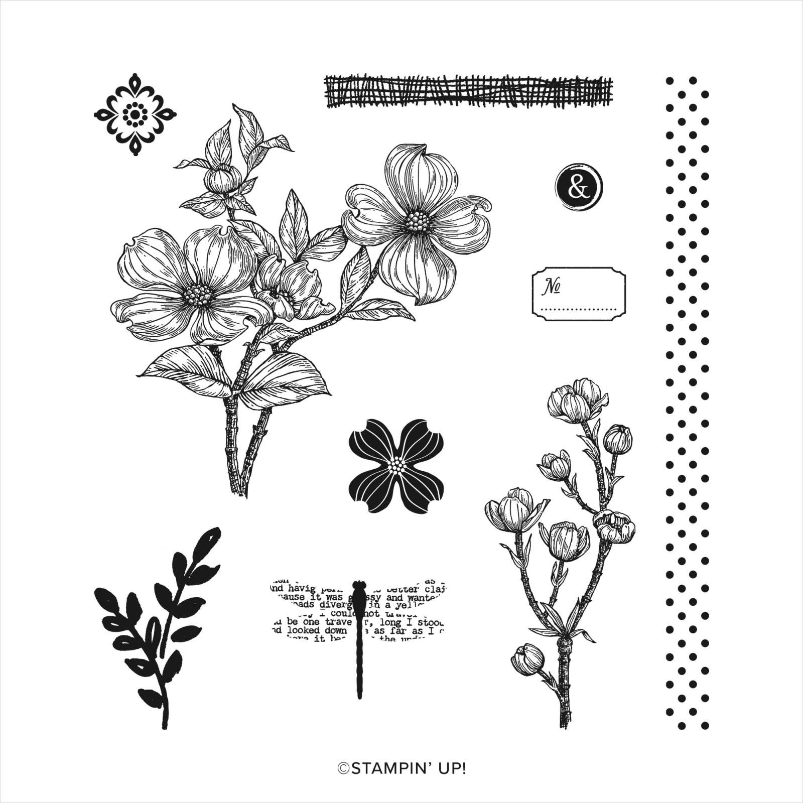 DETAILED DOGWOOD CLING STAMP SET