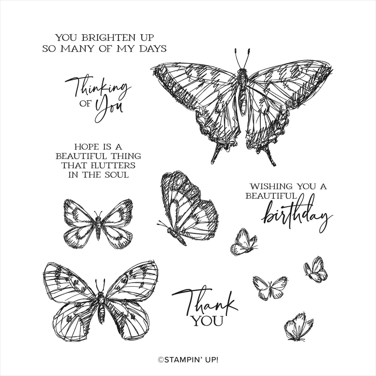 SKETCHED BUTTERFLIES CLING STAMP SET (ENGLISH)