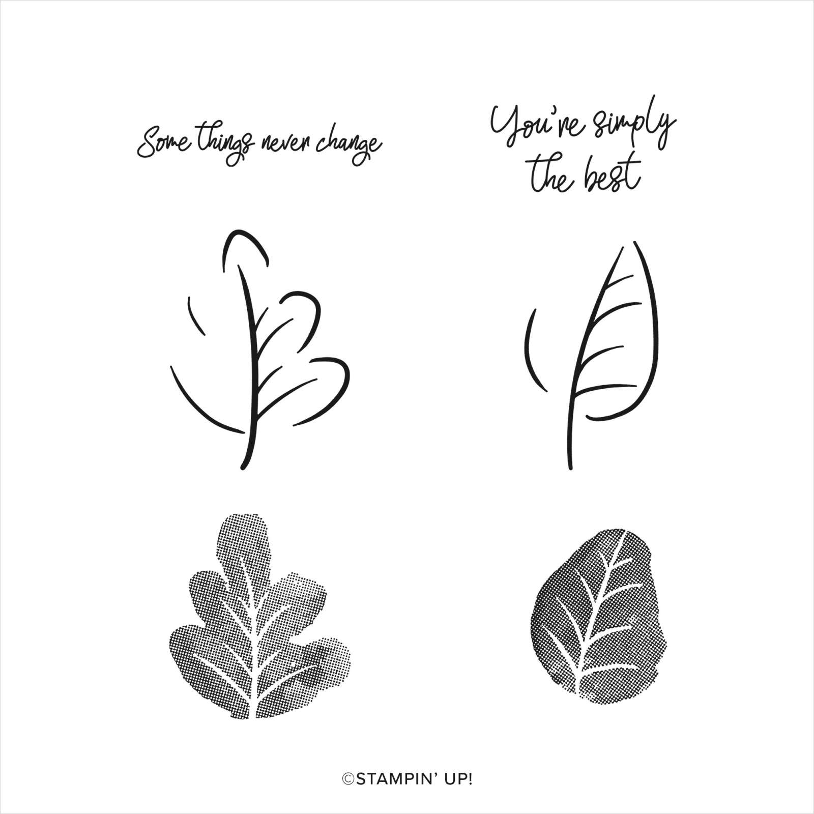 CARING LEAVES PHOTOPOLYMER STAMP SET (ENGLISH)