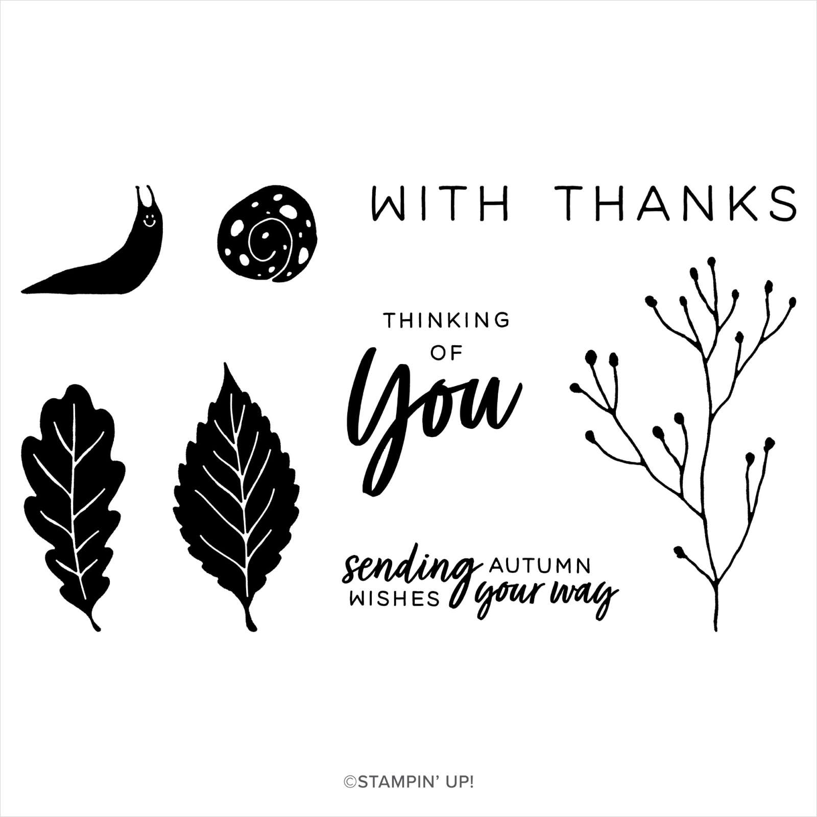AUTUMN ABUNDANCE PAPER PUMPKIN PAST KIT