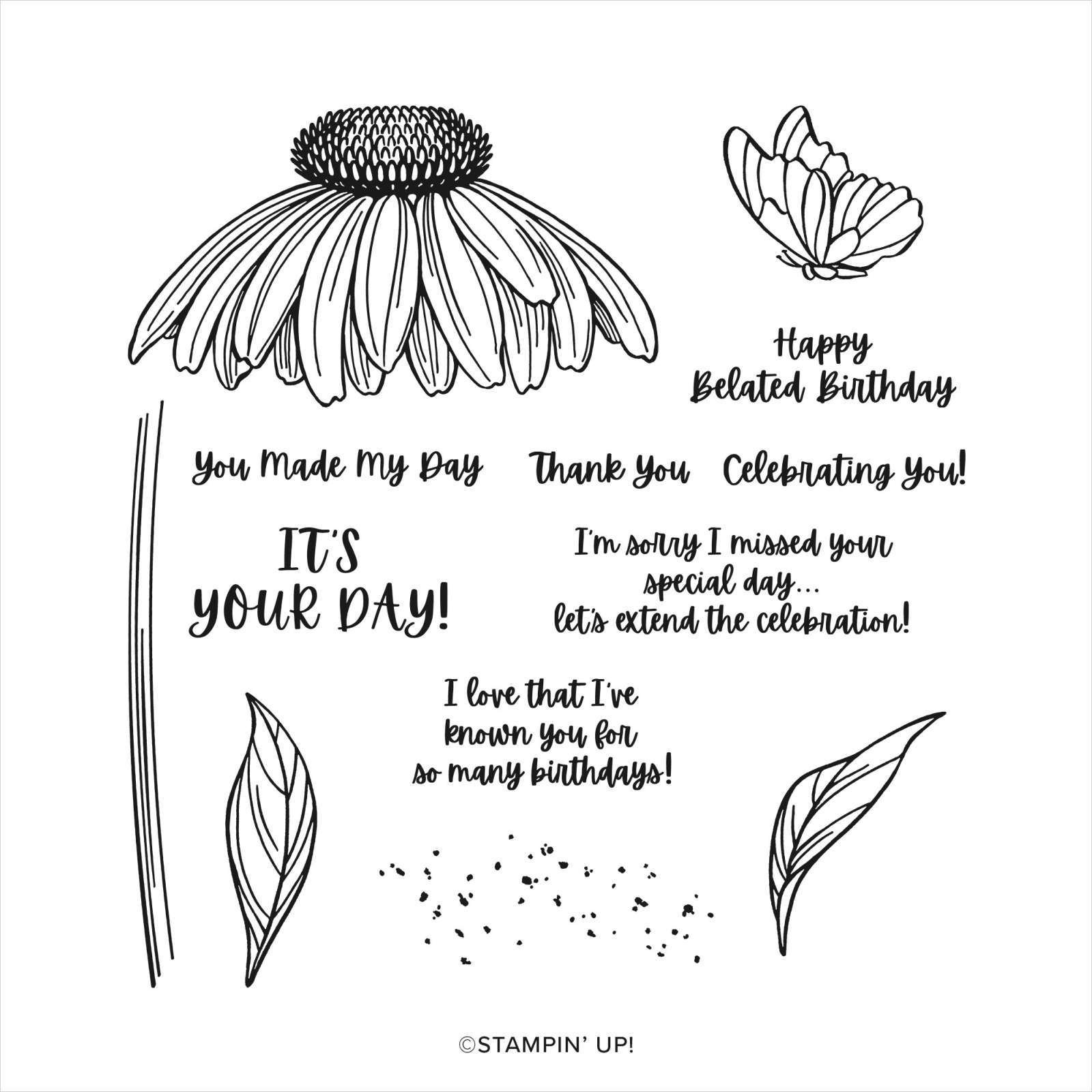 CONEFLOWER CELEBRATION BUNDLE (ENGLISH)