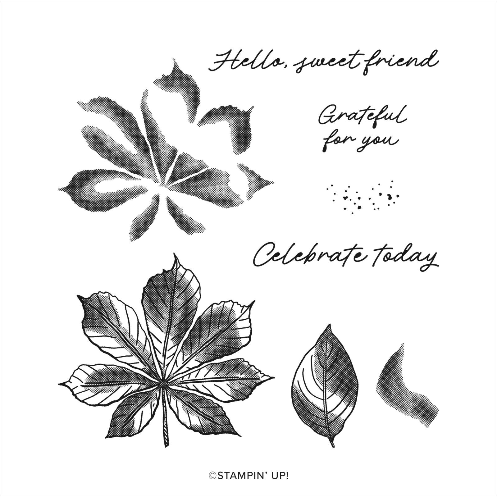 ARTISTIC LEAVES PHOTOPOLYMER STAMP SET (ENGLISH)