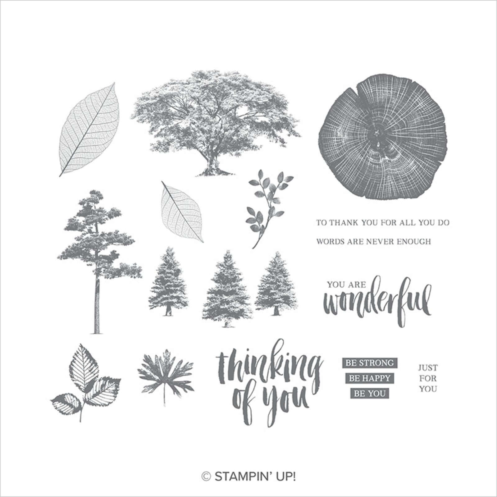 ROOTED IN NATURE CLING STAMP SET (ENGLISH)