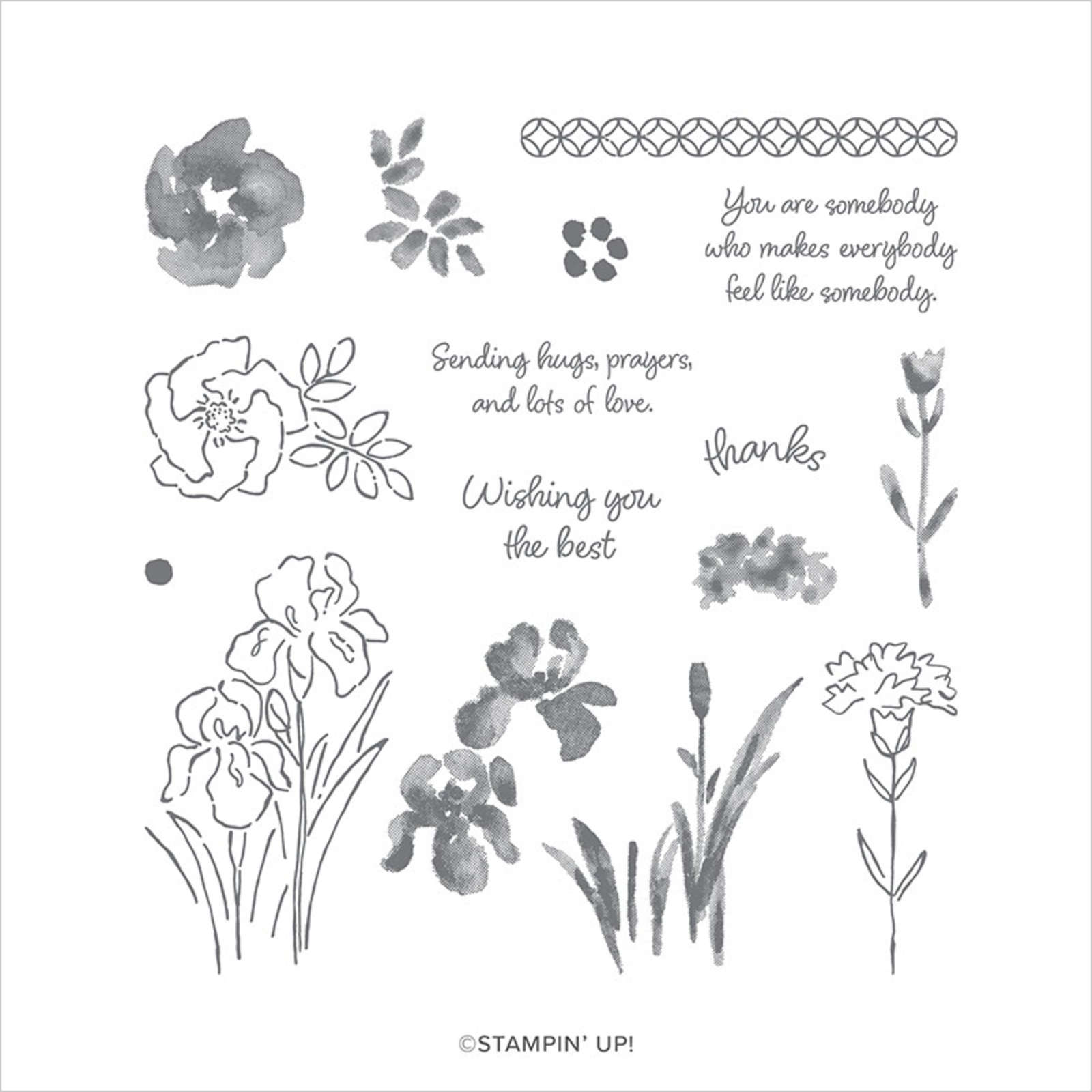 INSPIRING IRIS PHOTOPOLYMER STAMP SET