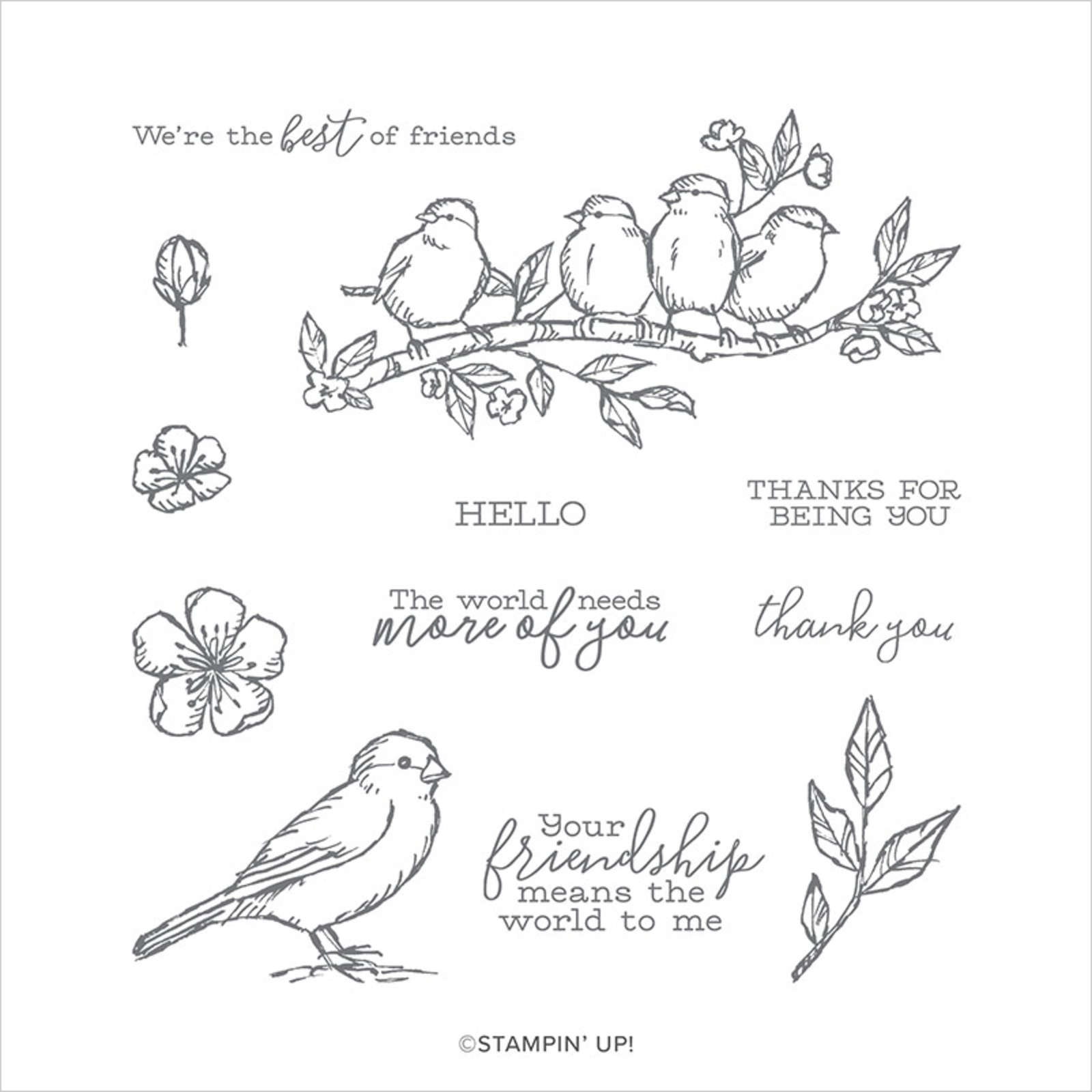 Stampinup Stempelset Ablosbar Free As A Bird En
