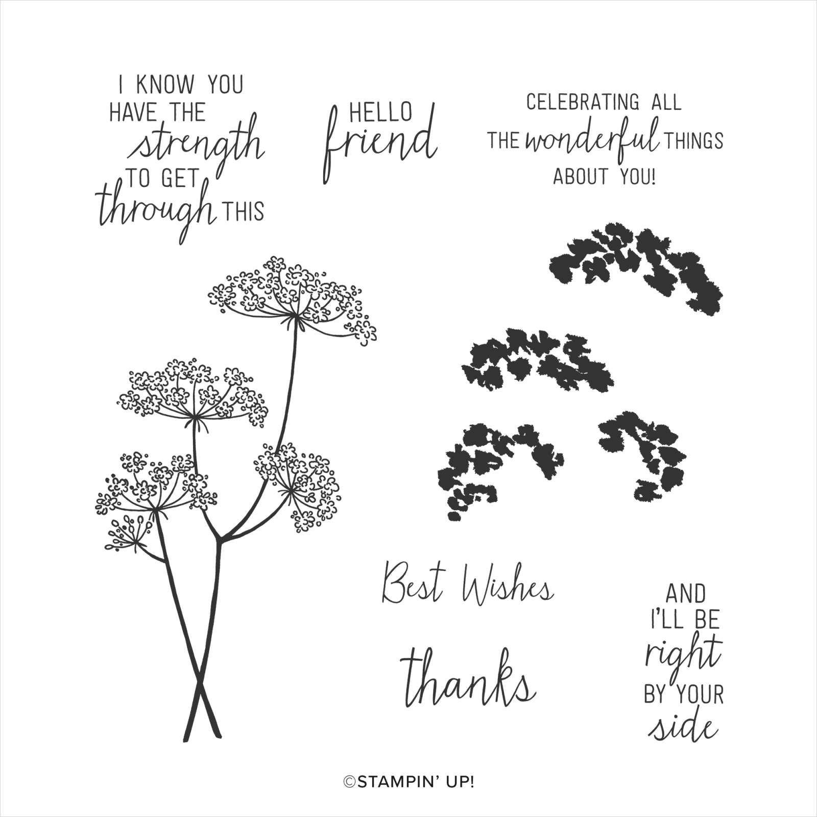 QUEEN ANNE'S LACE PHOTOPOLYMER STAMP SET (ENGLISH)