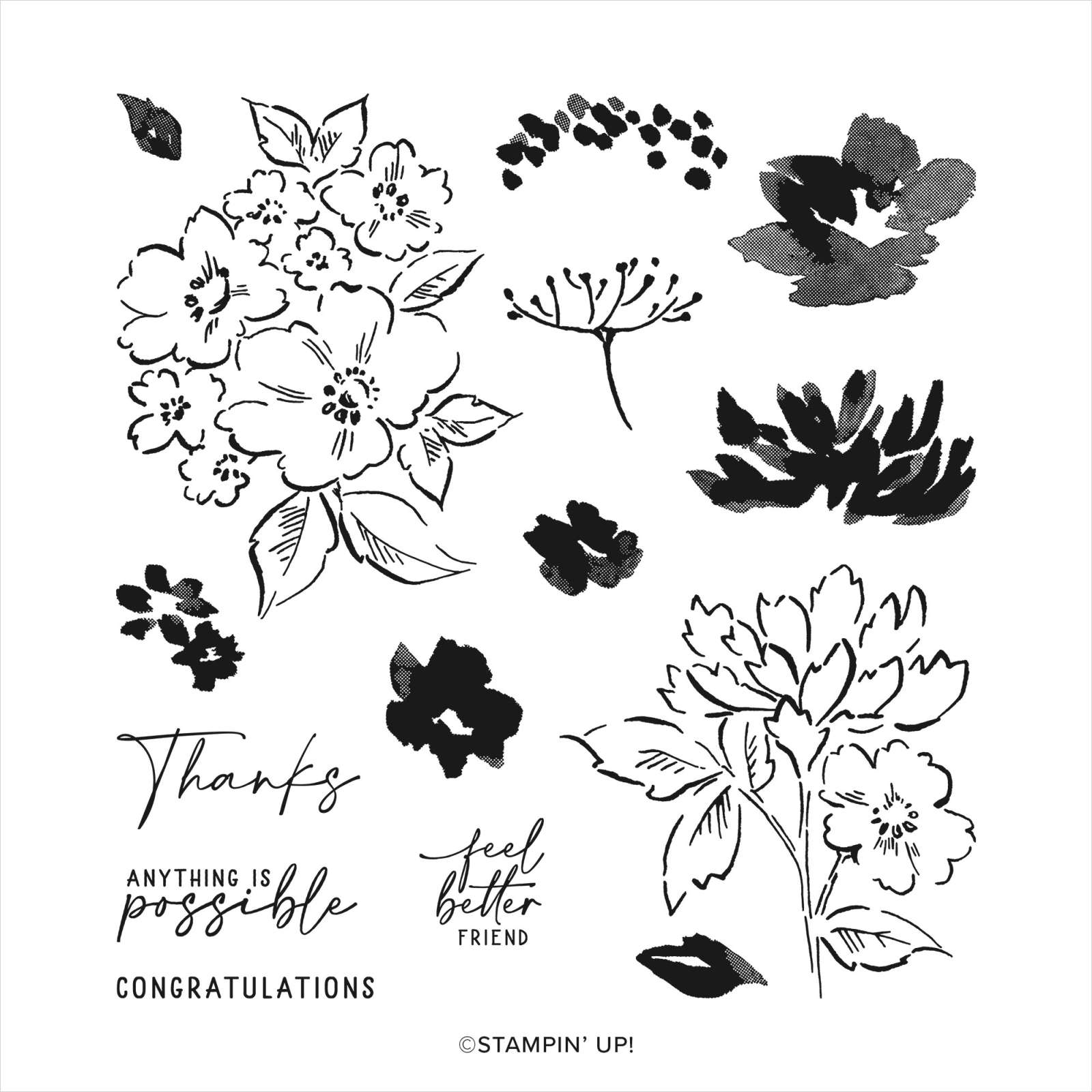 Pam Strobel Creates - Hand-Penned Petals Stamp Set