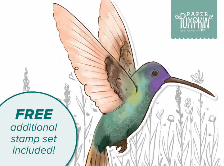 CUST_HMPG_L3_NA_0326_FLUTTERING_GARDEN