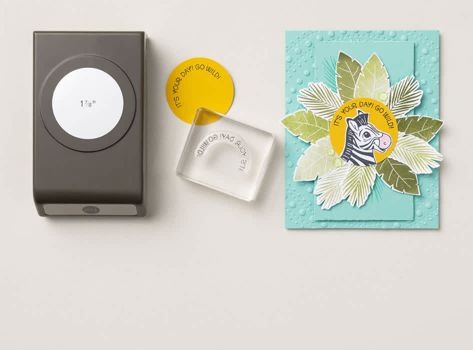 Stamp & Punch Bundles | Stampin' Up!