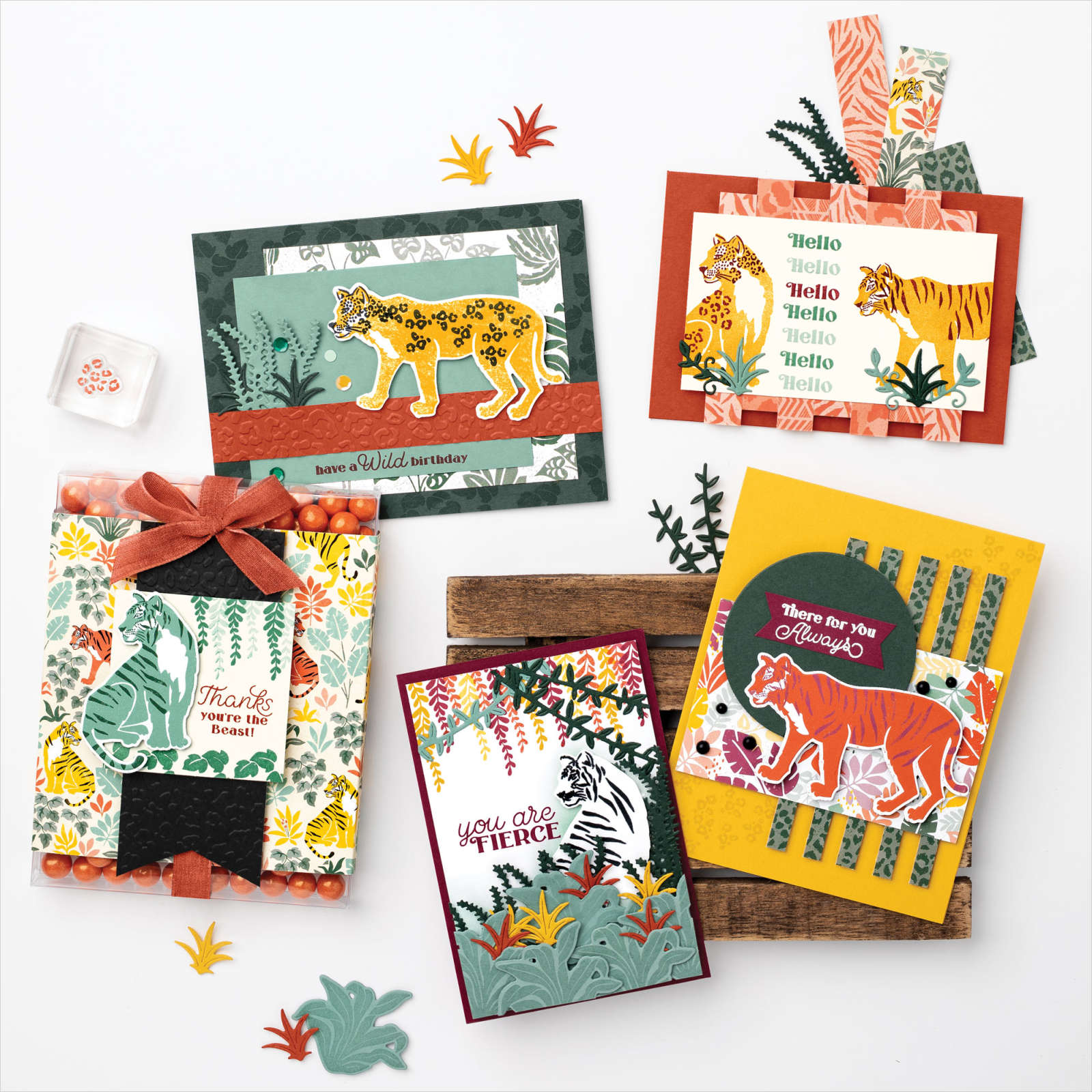 Annual Catalogue - IN THE WILD SUITE Annual Catalogue - IN THE WILD SUITE
