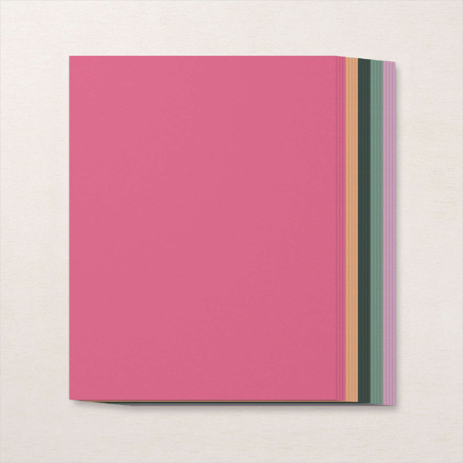 2021–2023 IN COLOR 8-1/2 2021–2023 IN COLOR 8-1/2