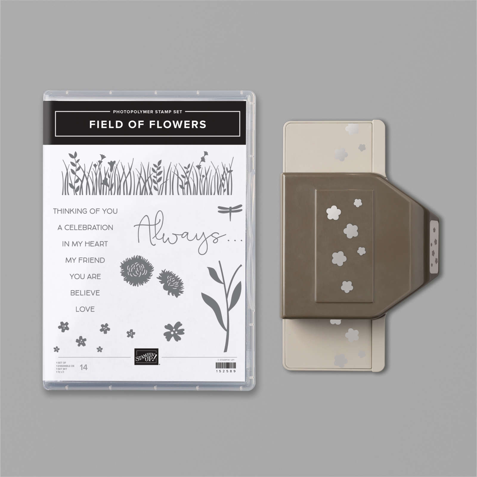 FIELD OF FLOWERS BUNDLE #154108