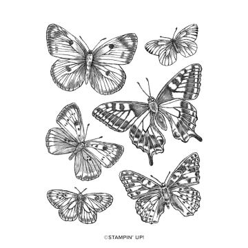 BUTTERFLY BRILLIANCE CLING STAMP SET