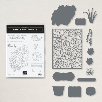 SIMPLY SUCCULENTS BUNDLE 156264