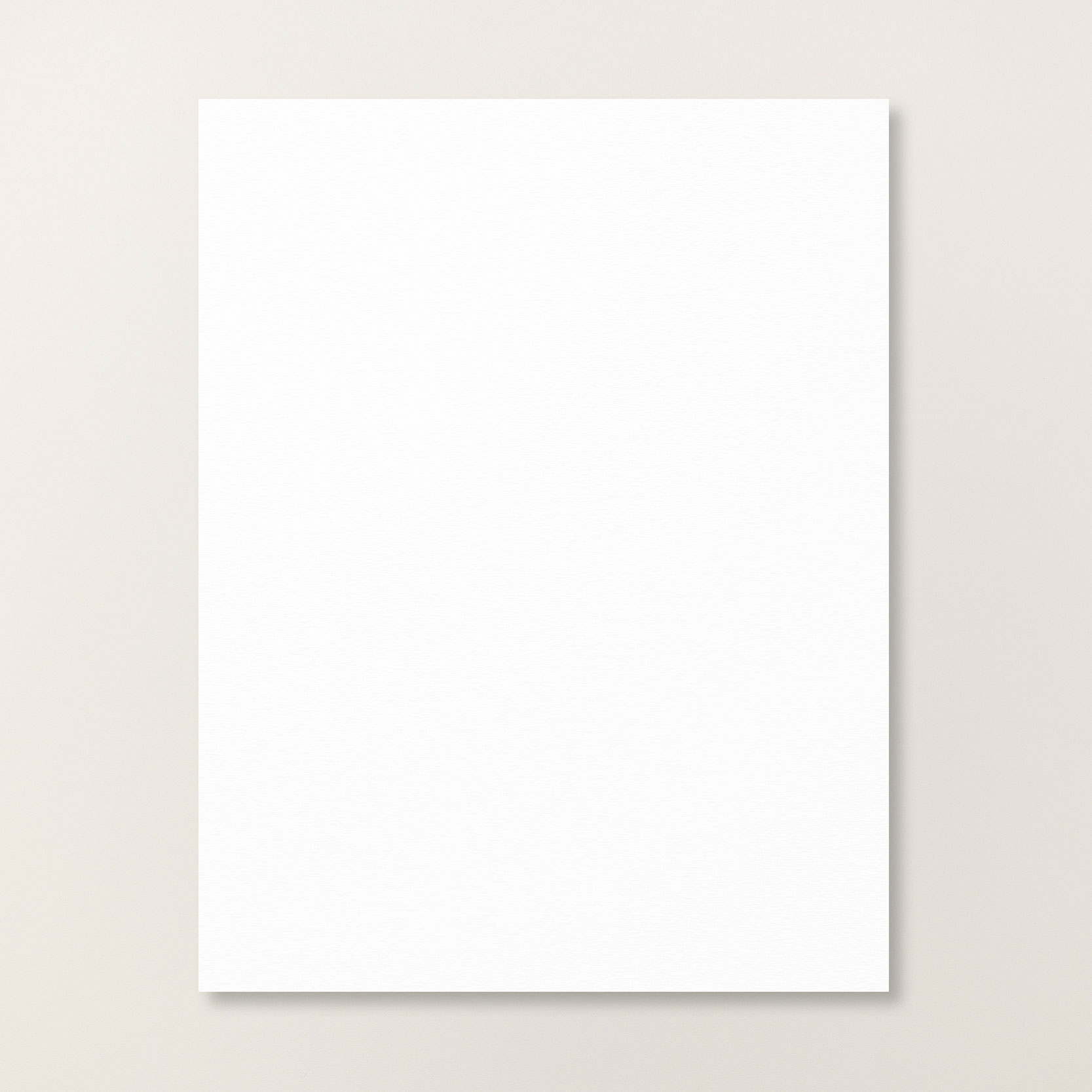 Basic White Thick Cardstock (159229)