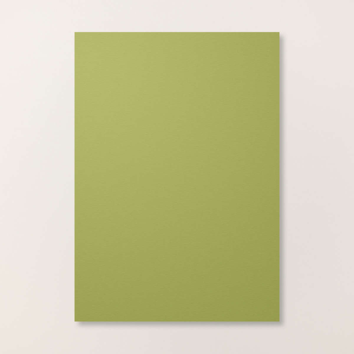 Premium Cardstock By Stampin' Up! For Handmade Cards And Scrapbooks