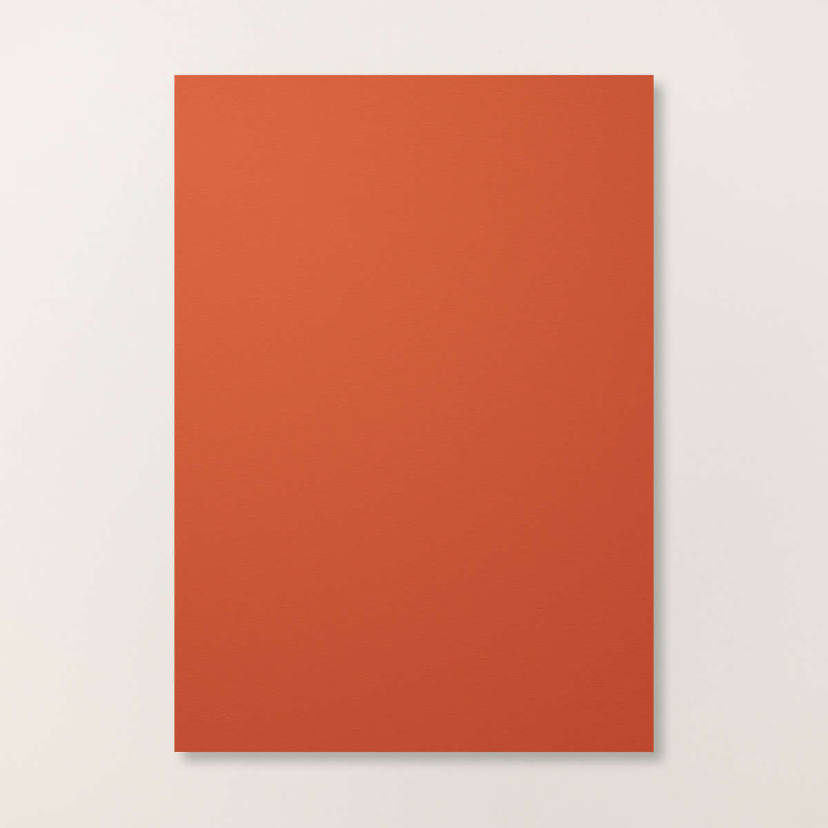 Cajun Craze A4 Cardstock [ 121683 ]