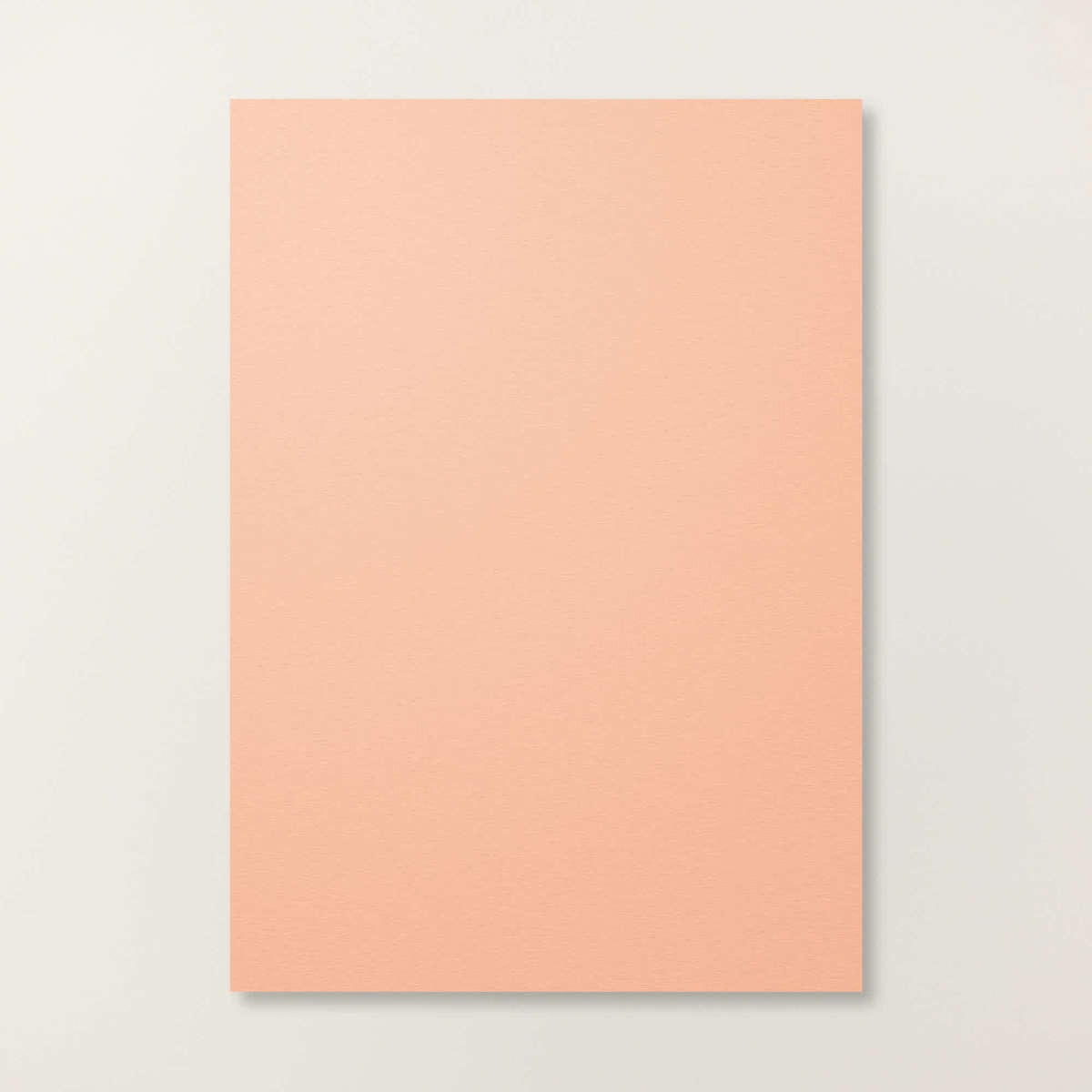 Crisp Cantaloupe A4 Cardstock [ 167694 ]