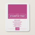 BERRY BURST CLASSIC STAMPIN' PAD