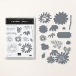 CHEERFUL DAISIES BUNDLE (ENGLISH)