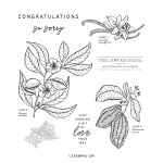 LOVELY & SWEET CLING STAMP SET (ENGLISH)