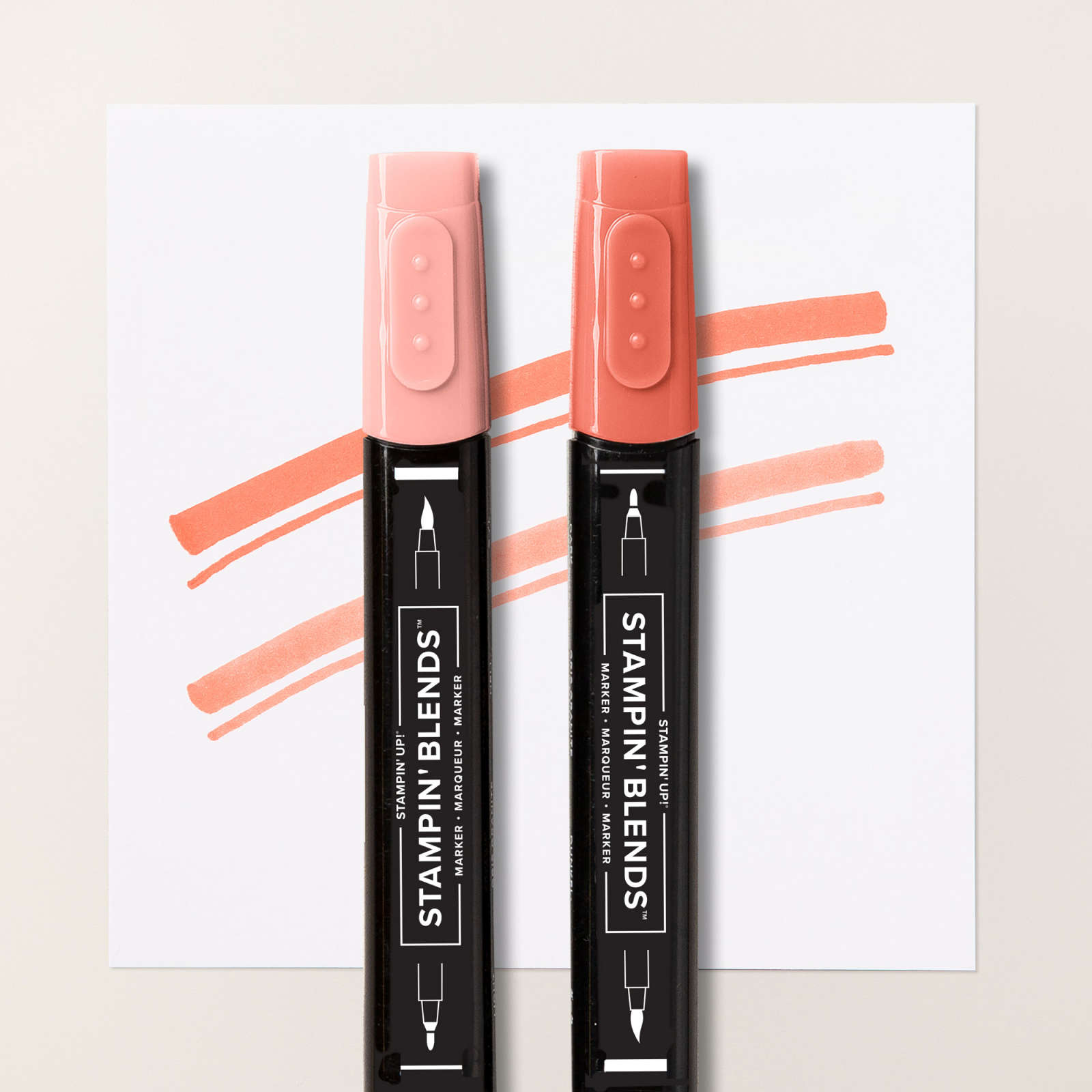 STAMPIN’ BLENDS IM KOMBIPACK IN CALYPSO