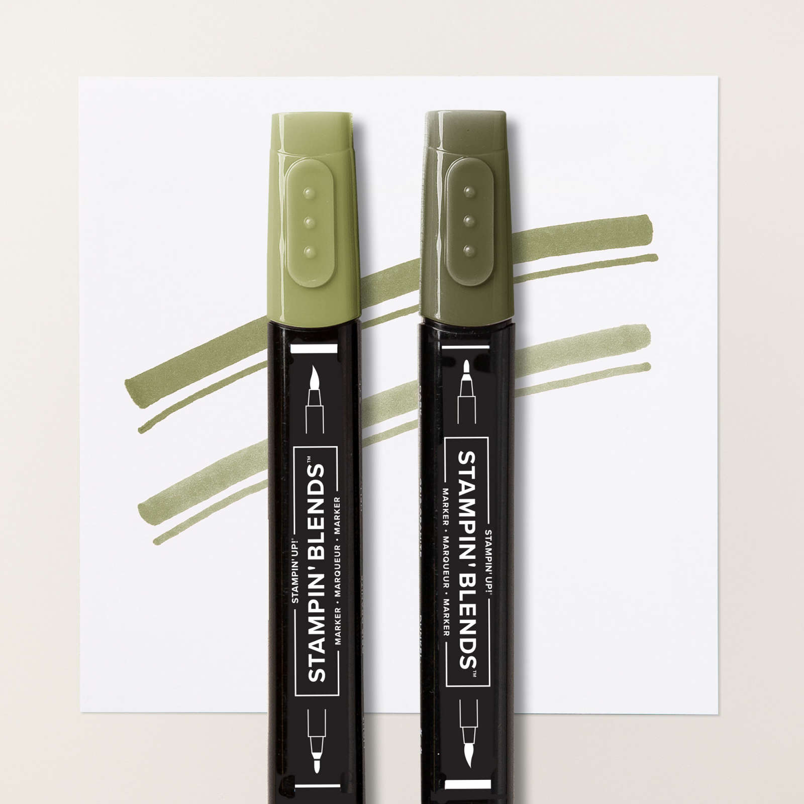 STAMPIN’ BLENDS IM KOMBIPACK IN WALDMOOS