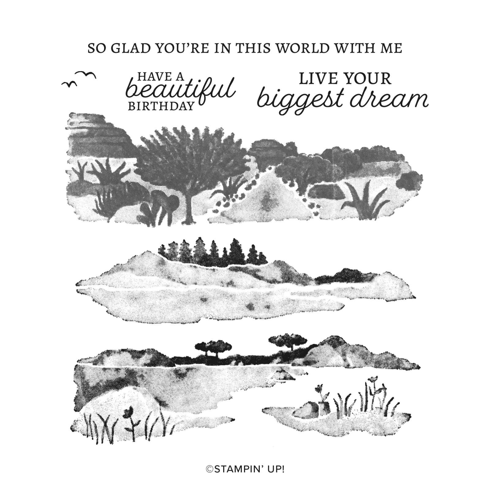 Stempelset Scenic Wonders van Stampin’ Up!