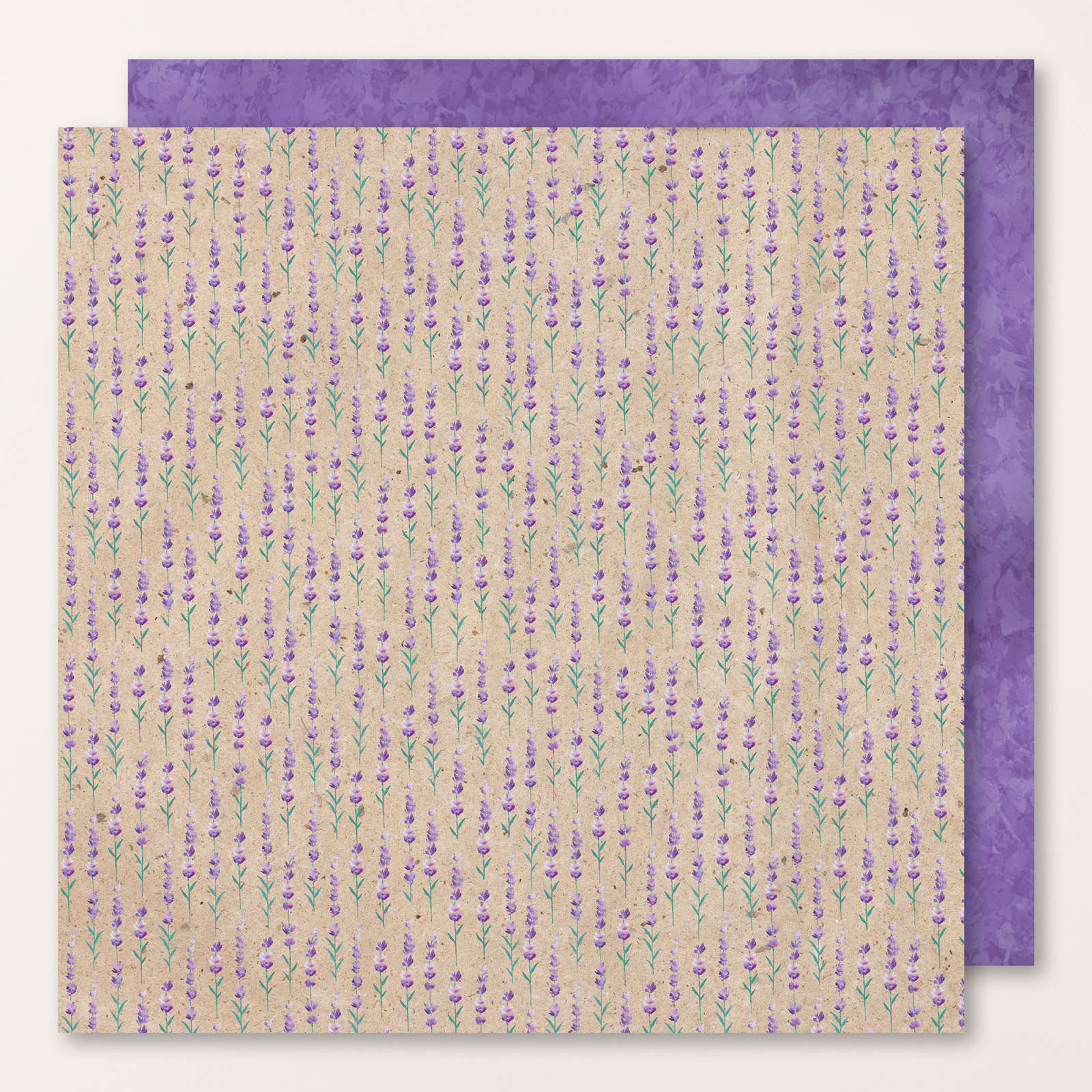 DESIGNERPAPIER 12" X 12" (30,5 X 30,5 CM) LAVENDELBLÜTE