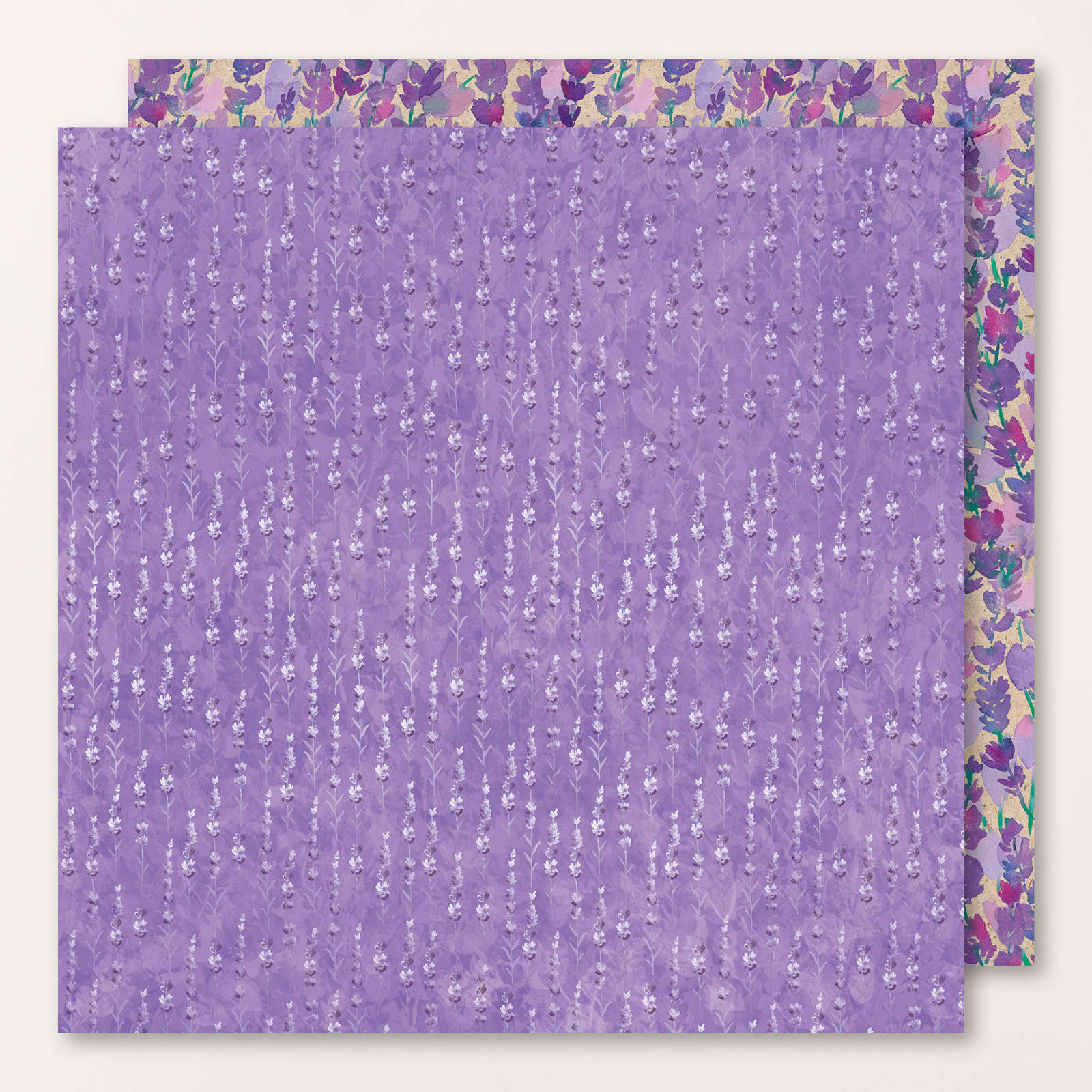 DESIGNERPAPIER 12" X 12" (30,5 X 30,5 CM) LAVENDELBLÜTE