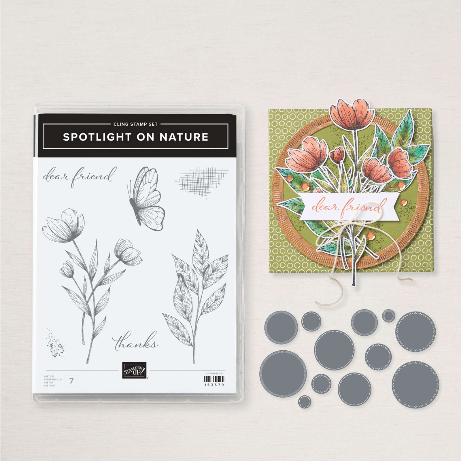spotlight-on-nature-stamp-die-bundle-by-stampin-up