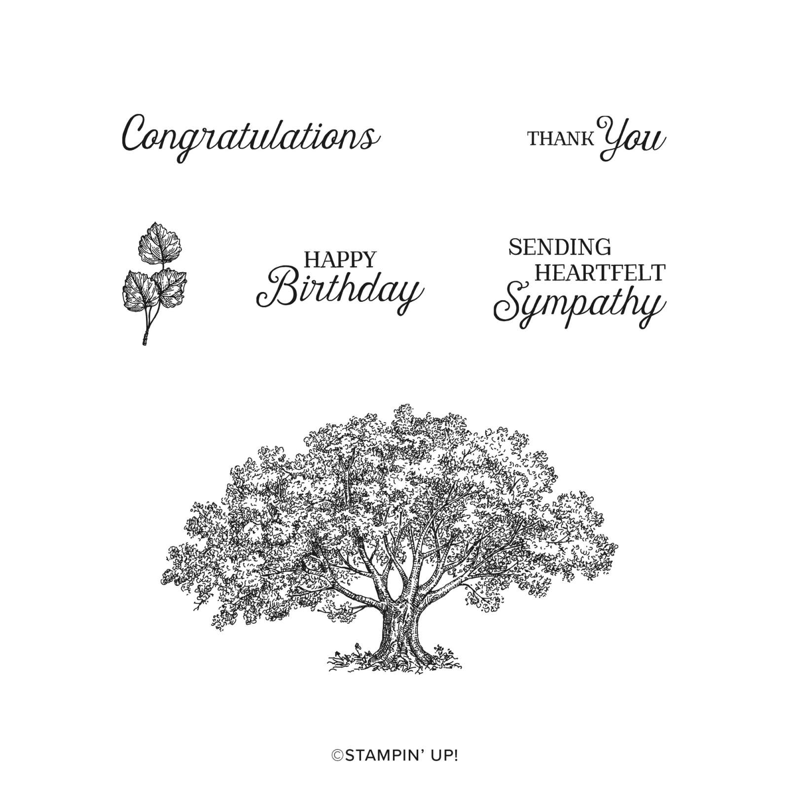 LOVELIEST TREE BUNDLE (ENGLISH)