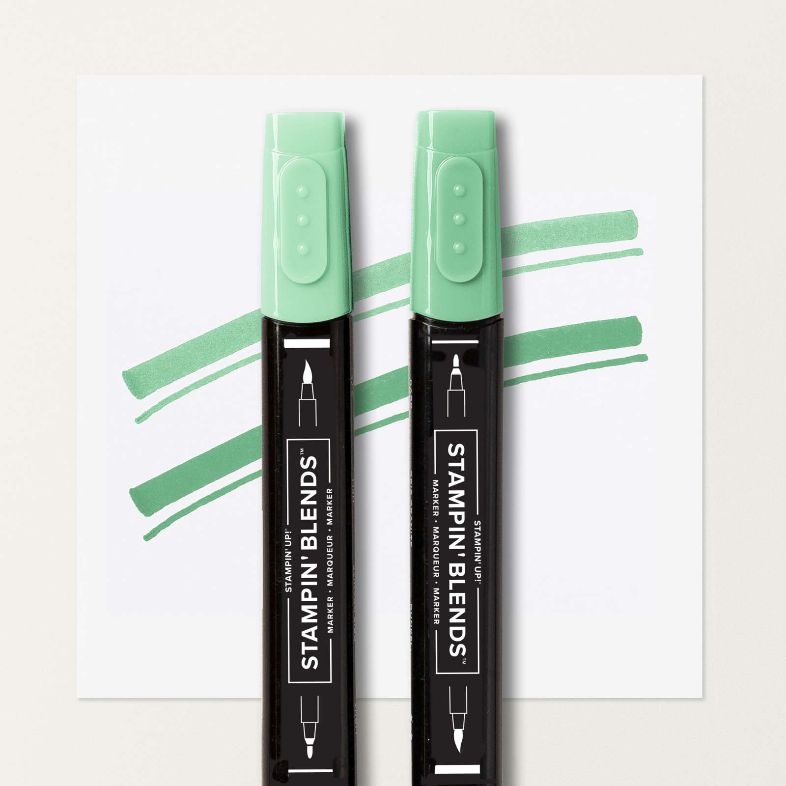 SHY SHAMROCK STAMPIN’ BLENDS COMBO PACK