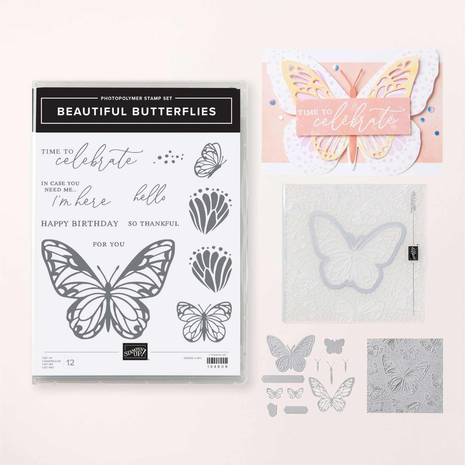 BEAUTIFUL BUTTERFLIES BUNDLE (ENGLISH)