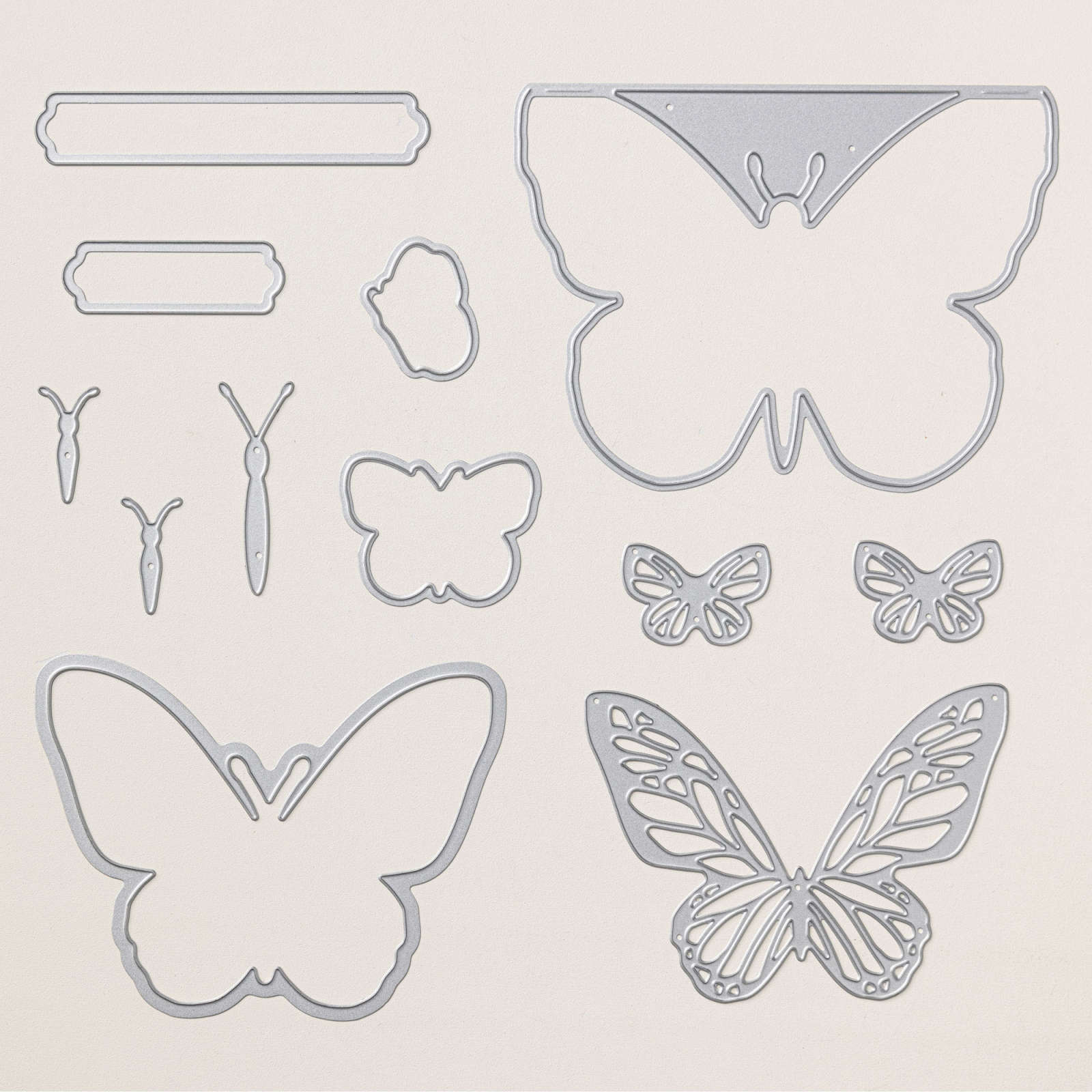 BEAUTIFUL BUTTERFLIES BUNDLE (ENGLISH)