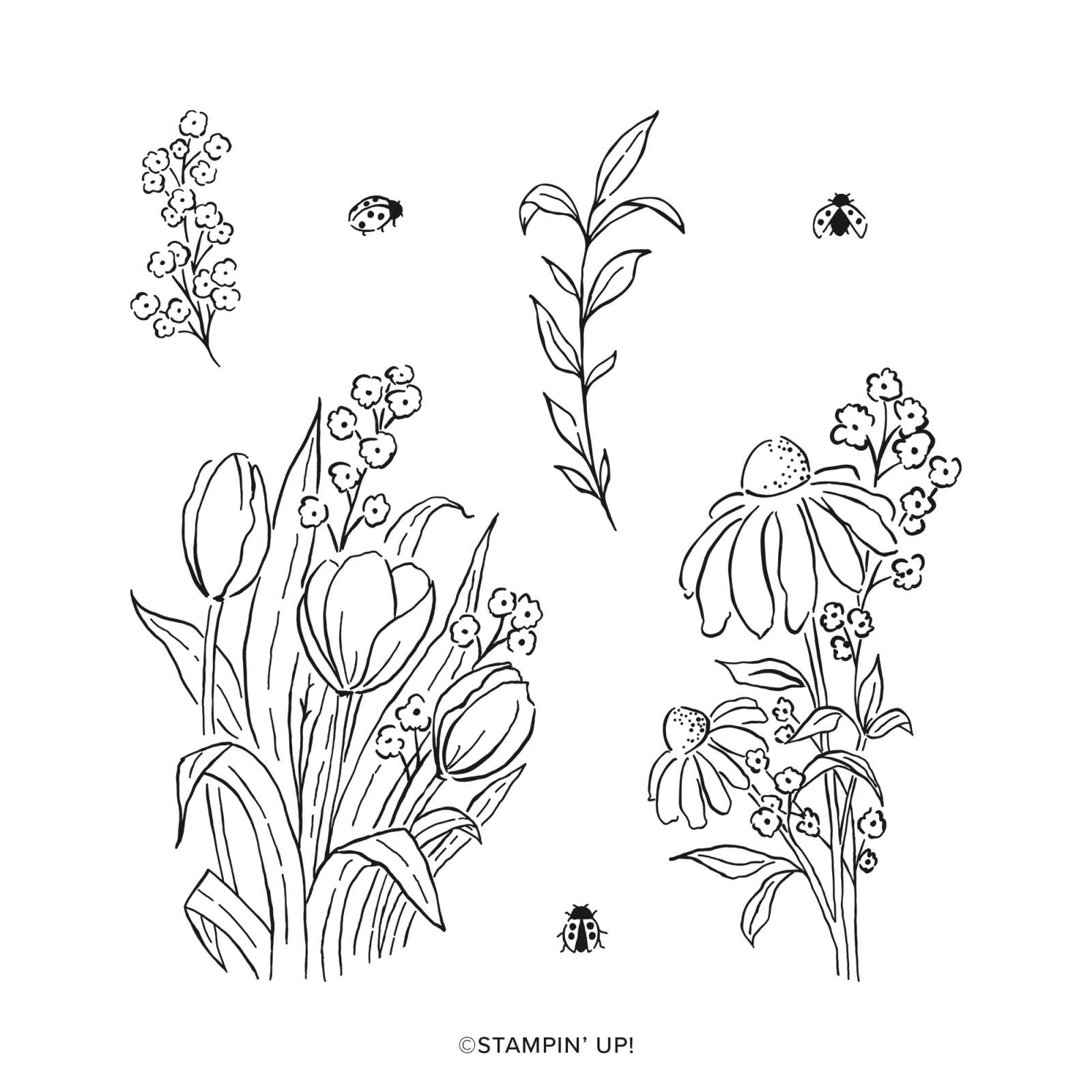 MIXED FLORALS PHOTOPOLYMER STAMP SET