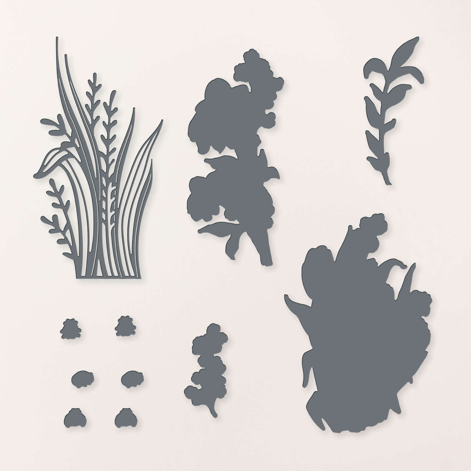 POINÇONS FLORE VARIÉE