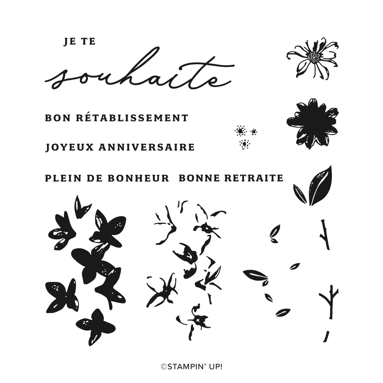 CHARMANTS SOUHAITS BUNDLE (FRENCH)